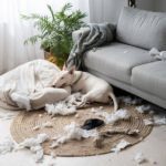 Airbnb Accidental Damage – All You Need to Know