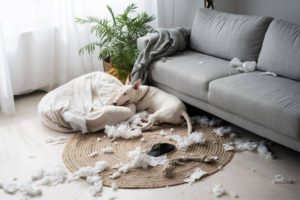 Airbnb Accidental Damage – All You Need To Know