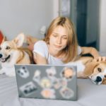 Reasons Why Airbnb Doesn't Have a Pet Filter