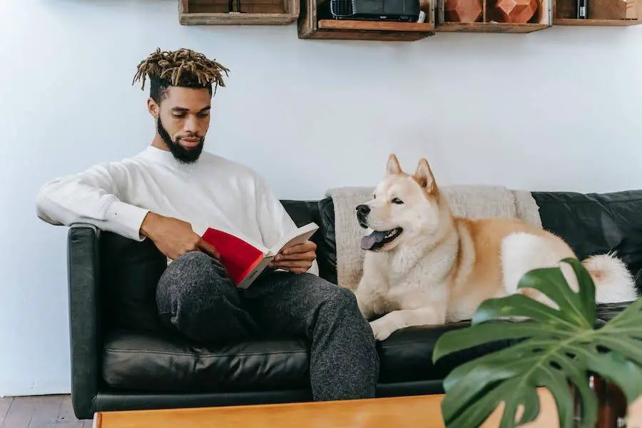 Airbnb Emotional Support Animal Policy Explained